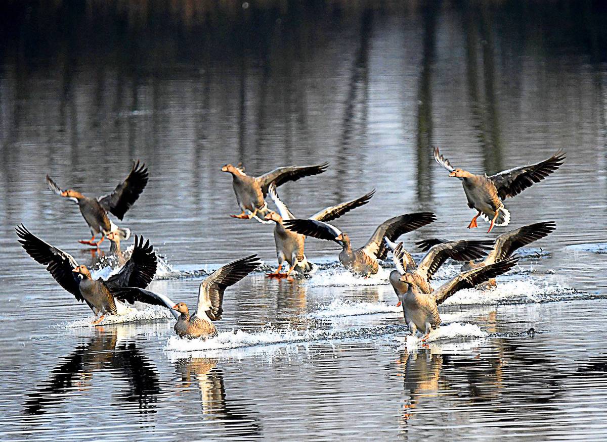 3rd. = Geoff Hildred